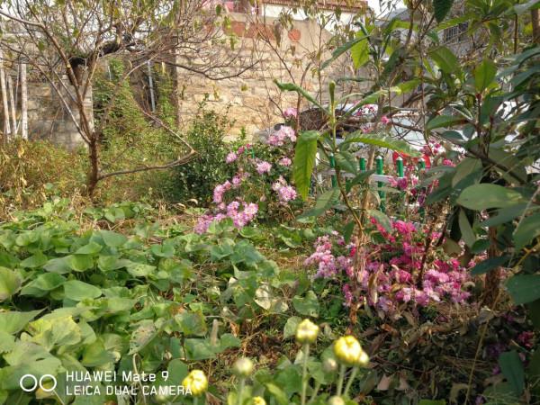 海上山晚秋——贈港校陳君、微友遠洋君