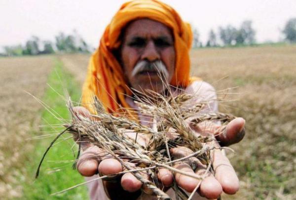同是人口農業大國,為何中國滿世界買糧,印度卻成糧食出口大國? 同是人口農業大國,為何中國滿世界買糧,印度卻成糧食出口大國?