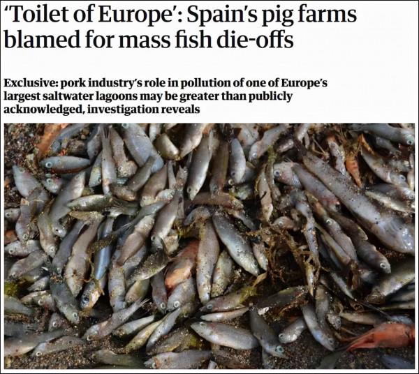 西班牙一鹹水湖現大量死魚，數量超5噸，英媒：怪中國人愛吃豬肉