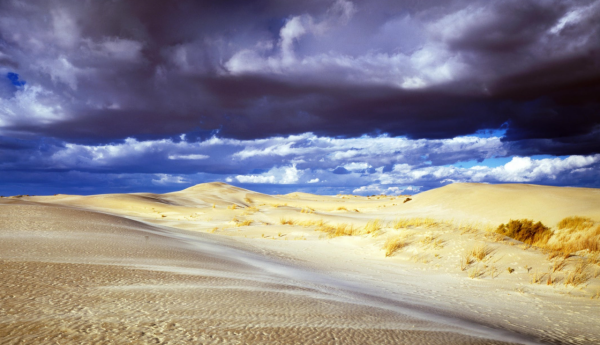 拒絕將就,有講究的星座,野心很大,如同狡猾狐狸,並非池中之物 拒絕將就,有講究的星座,野心很大,如同狡猾狐狸,並非池中之物