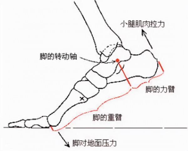 買鞋子尺碼合適就行?運動鞋可不能這麼簡單,多考慮幾點因素吧 買鞋子尺碼合適就行?運動鞋可不能這麼簡單,多考慮幾點因素吧