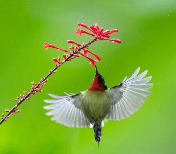 變老，是一種境界