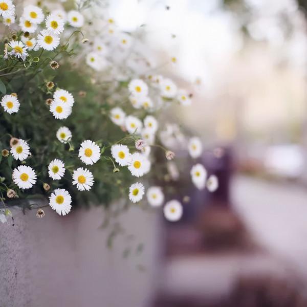 處理好人際關係，要牢記這3句話！