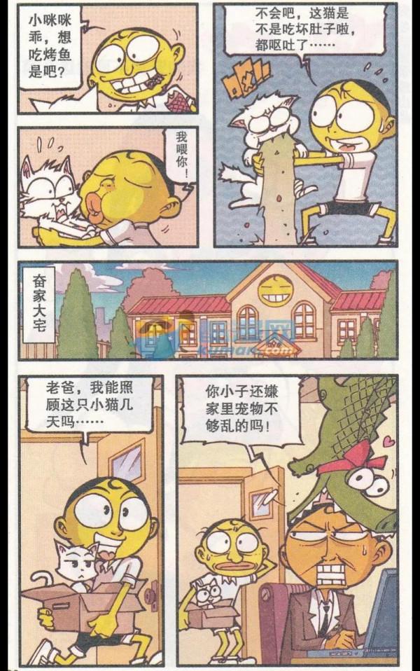 高茜出現在奮豆家並給他蓋被子？原來最近和奮豆相處的貓咪是高茜