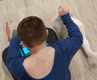 腦癱男孩與他的三腳貓老師:對有些人來說,有貓在就是團圓 腦癱男孩與他的三腳貓老師:對有些人來說,有貓在就是團圓