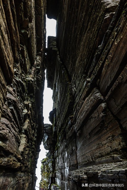 一生一定要去一次的地方,貴州梵淨山 一生一定要去一次的地方,貴州梵淨山
