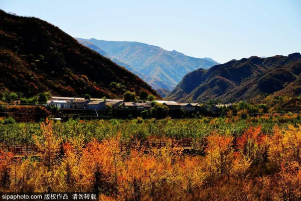 安排!一天假期也精彩,不容錯過的京郊賞秋勝地 安排!一天假期也精彩,不容錯過的京郊賞秋勝地
