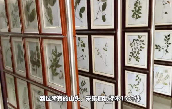 &OpenCurlyDoubleQuote;野人&rdquo;教授何家慶：生前被嫌棄，死後蓋國旗