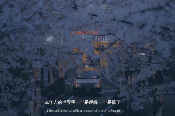 是你教會我長大，也是你教會我狠心