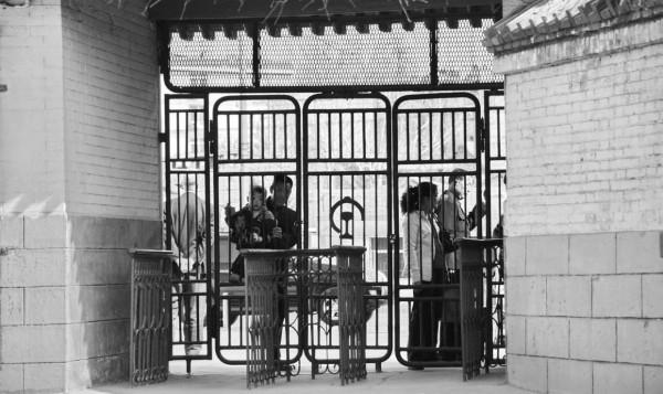 當年我和乘警藏貓貓的事「嚴建設老照片407集」