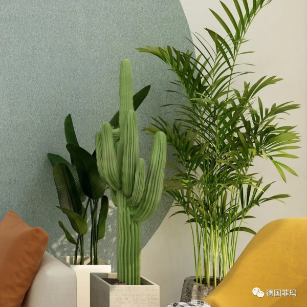 藝塗裝丨“聚勢菲瑪、塗贏未來”新商加盟月啟動，11月26日直播