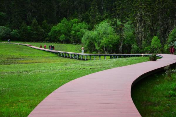 什麼？從瀘沽湖到香格里拉居然有捷徑？還少走三分之二的路程