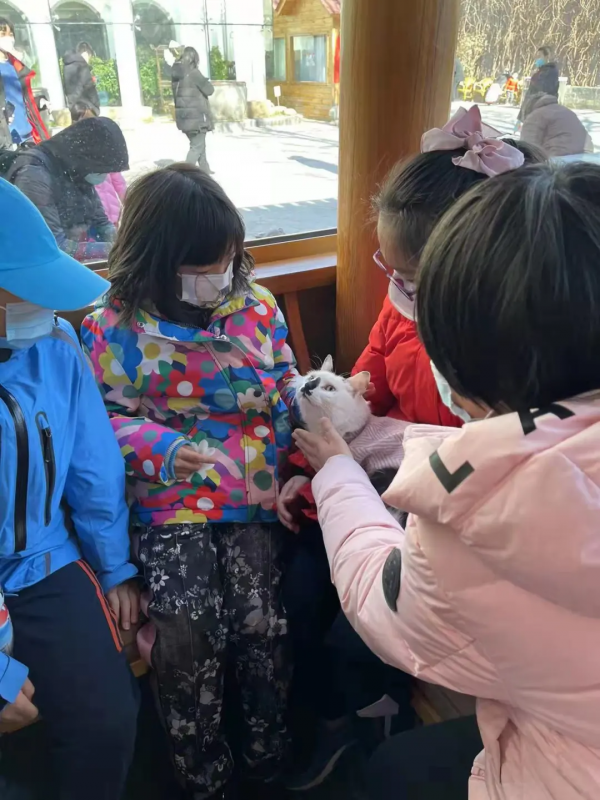 小貓咪都是怎樣&OpenCurlyDoubleQuote;爭寵&rdquo;的？