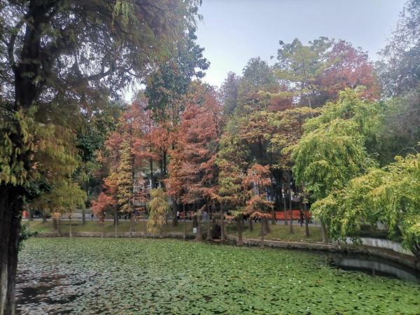 穿越廣州中軸線一日遊&mdash;&mdash;從傳統到現代