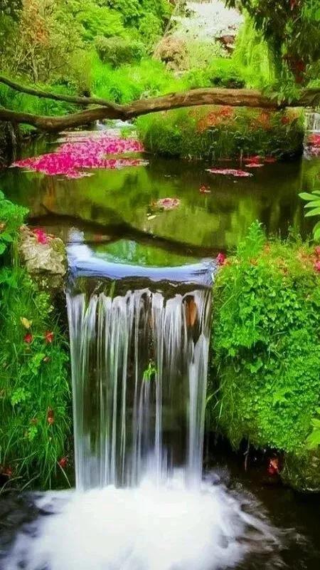 名人名家文學刊「中國石泉」 名人名家文學刊「中國石泉」