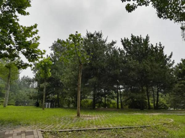 打卡京都:烈日下的朝陽公園 打卡京都:烈日下的朝陽公園