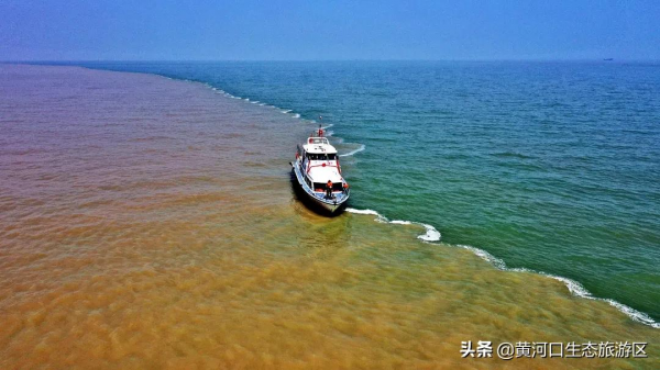 【黃河口生態旅遊區】新晉百強 華東第一! 【黃河口生態旅遊區】新晉百強 華東第一!