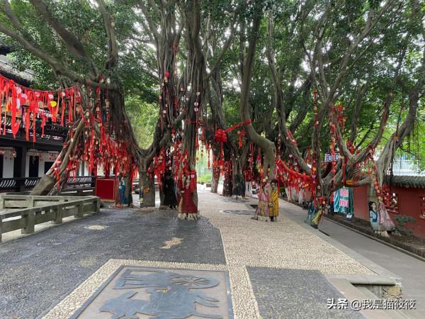 分享我的2021長江黃金遊輪長江三峽之旅，宜昌到重慶（下篇）