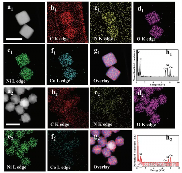 帝國理工學院《AFM》：一種用於水分解的雙功能電催化劑