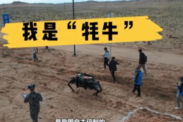 國產電動“犛牛”，比犛牛有多厲害？