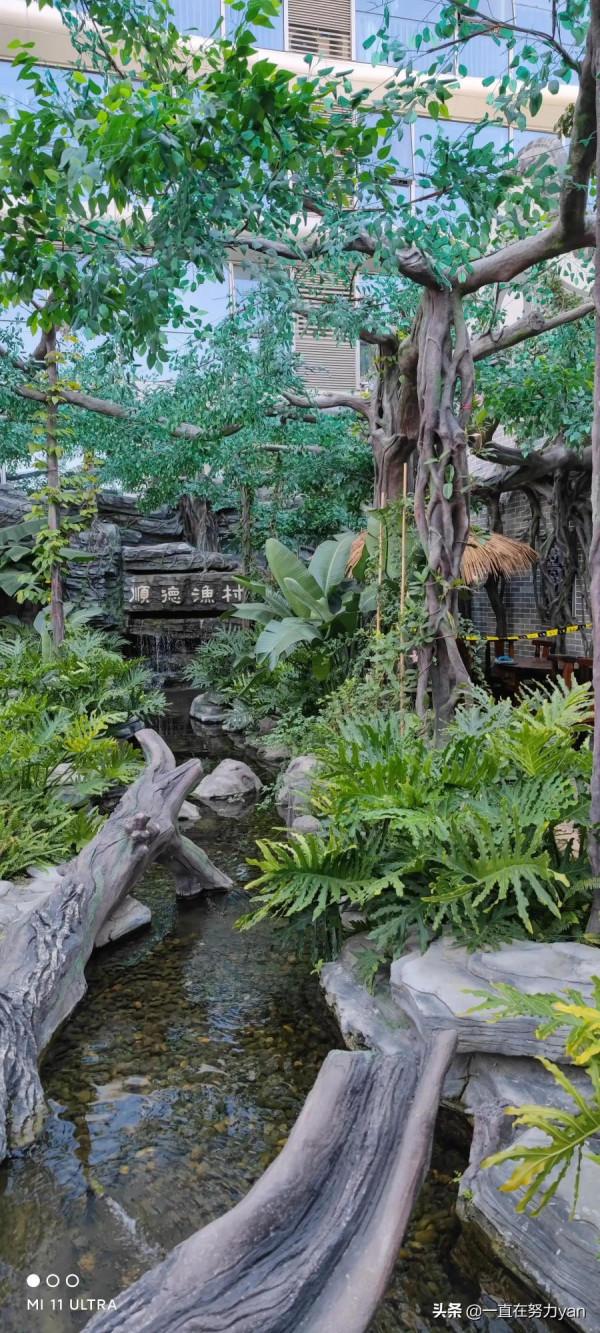 順德漁村漁人碼頭一日遊 順德漁村漁人碼頭一日遊