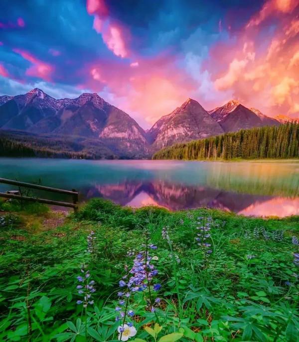 三十首口口相傳、爛熟於心的唐詩名作，都不是出自《唐詩三百首》