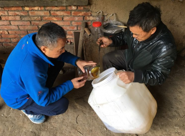 雲南最有特色的5款土酒！每一款口感都不錯，難怪雲南女生酒量好