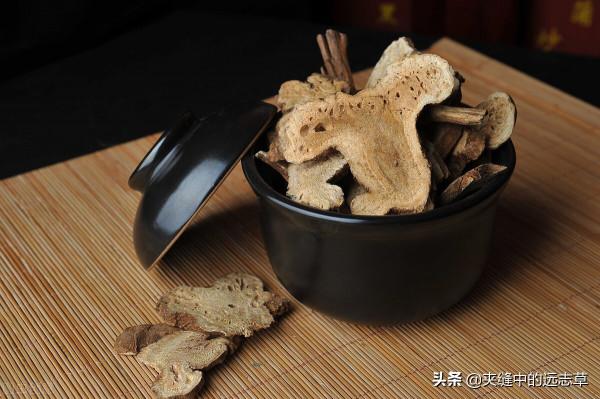 腰痛?四味中藥,陰陽雙補,益氣養血,送給腰痠背痛的你 腰痛?四味中藥,陰陽雙補,益氣養血,送給腰痠背痛的你