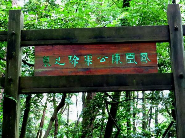 賀龍老上司陳渠珍是土匪出身,有人提議除掉他,毛主席如何批示? 賀龍老上司陳渠珍是土匪出身,有人提議除掉他,毛主席如何批示?