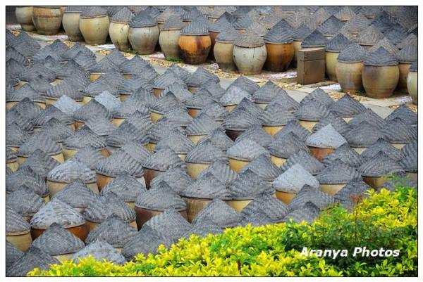 廈門島外6萬缸醬油，頭戴斗笠列隊，這樣的陣仗你見過嗎？