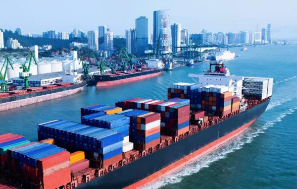 國內菜價漲幅超50%？英國油荒，北美斷貨，今冬不好過！