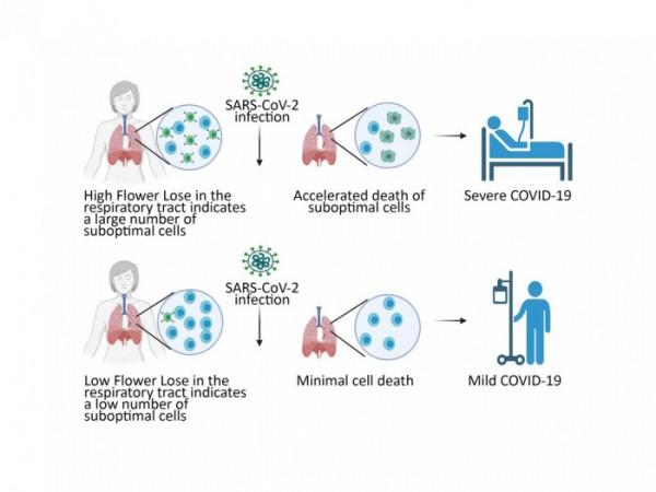 COVID-19生物標誌物研究新發現:或可預測病人對新冠感染的免疫反應 COVID-19生物標誌物研究新發現:或可預測病人對新冠感染的免疫反應