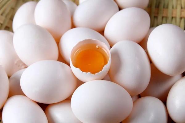 用眼過度？幾味食療湯膳助您改善視疲勞