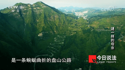 35年了,我的媽媽,枕頭下總是放著一把刀 35年了,我的媽媽,枕頭下總是放著一把刀