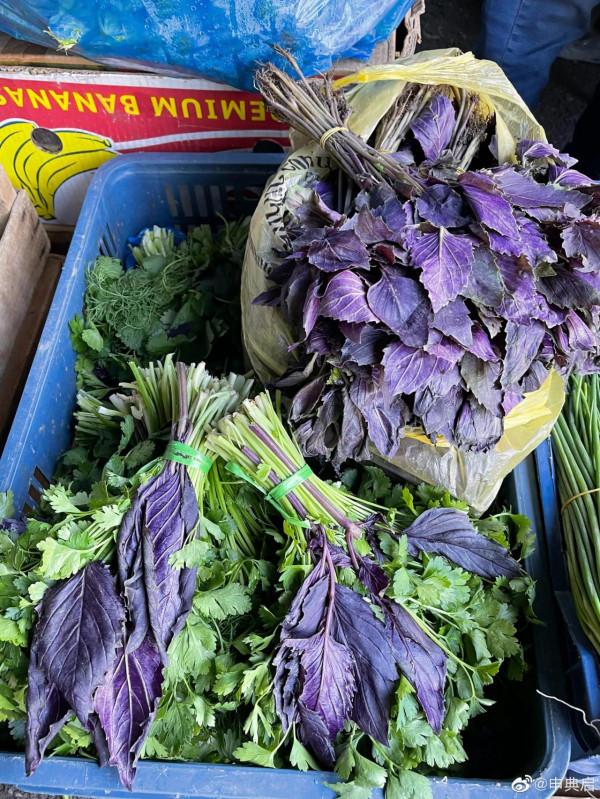 亞美尼亞埃裡溫傳統市場，飲食文化豐富且物價便宜，物產令人震撼