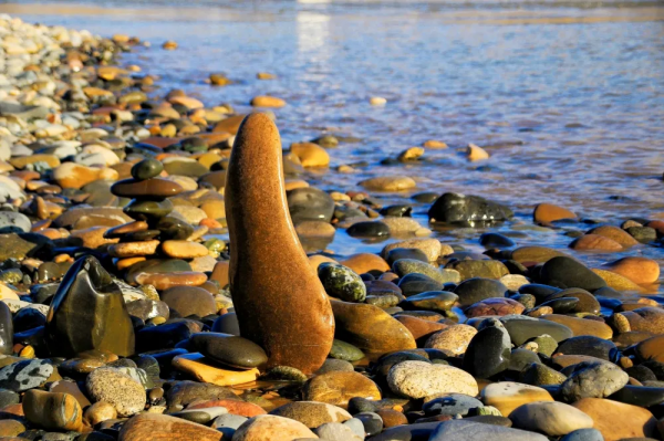 靖遠的黃河之濱真的很美