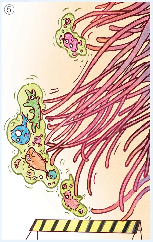 漫繪科普 | 病菌是如何攻破呼吸道的？