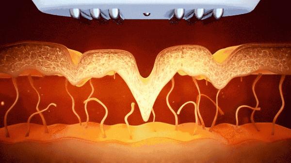 抗衰老應該吃什麼?塗什麼?做什麼?答案都在這了 抗衰老應該吃什麼?塗什麼?做什麼?答案都在這了