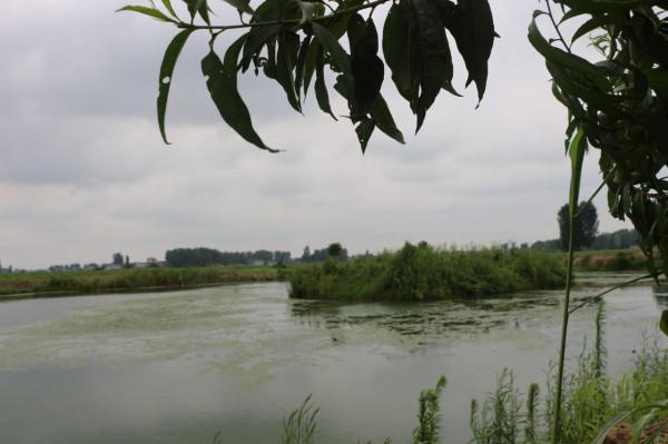 農場開工只請10人，數量是前幾年的一半，為什麼減少了這麼多？