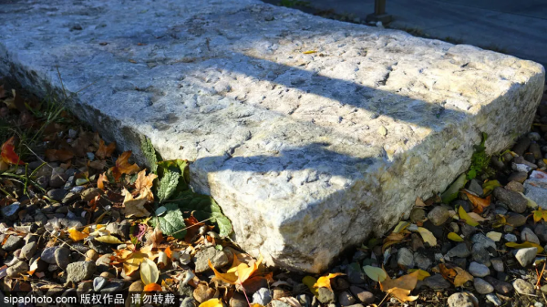 門票？不存在的！北京這些免費遺址公園，您都去過？