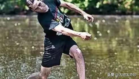 “活久見”的吉尼斯世界紀錄，你知道幾個？