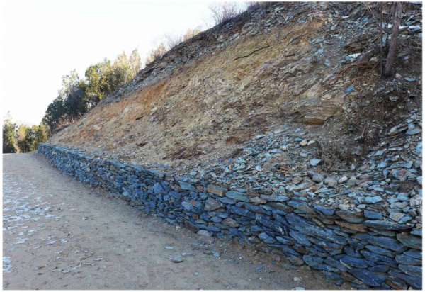 “文化碑林 綠色生態”——首都綠色文化碑林建設歷程回顧 “文化碑林 綠色生態”——首都綠色文化碑林建設歷程回顧