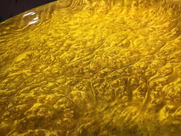 大自然造化神奇！黃金樟爆滿瘤疤·大果盤