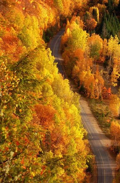 特別漂亮的路風景分享