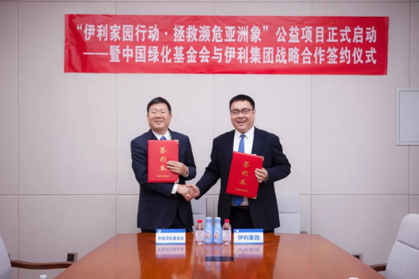 給“象”樣的爸爸,來個“象”樣的行動 給“象”樣的爸爸,來個“象”樣的行動