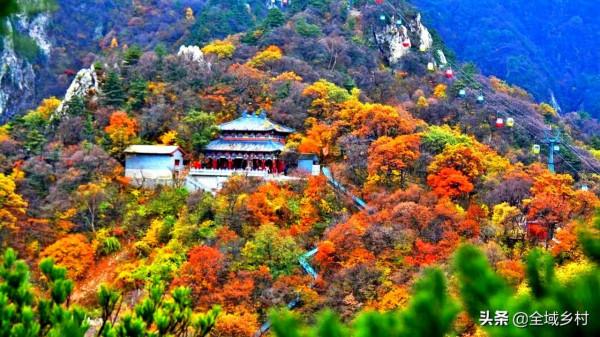 欒川的大景區都免費了，趁著秋日去欣賞紅葉，門票錢能省下不少