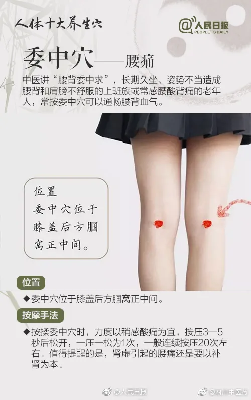 世界傳統醫藥日丨 生活處處有中醫,今天你認真養生了嗎? 世界傳統醫藥日丨 生活處處有中醫,今天你認真養生了嗎?