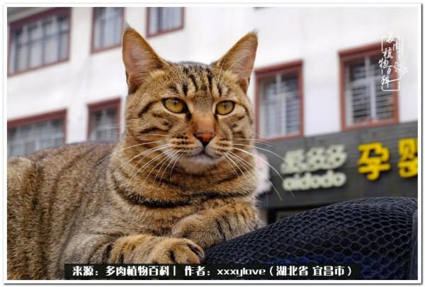 時光匆匆，一閃而逝，這世間萬物的美，都值得被記錄