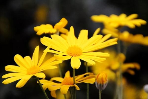 這樣跟你說話的人，品行好，值得深交