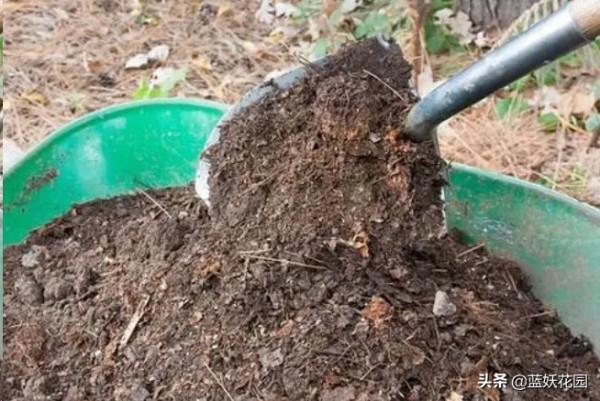 清園清理的落葉雜草，怎麼處理？這樣做垃圾變肥土